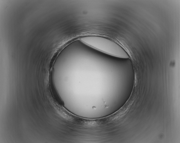 X0000095960301200801110952