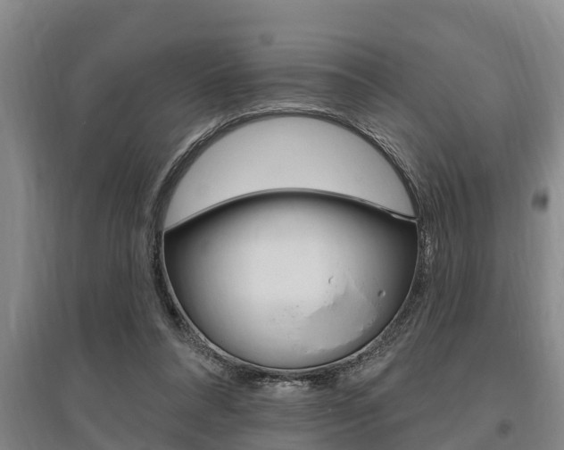 X0000095960304200801110952