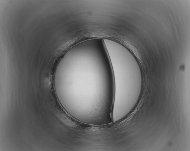 X0000095960305200801110952