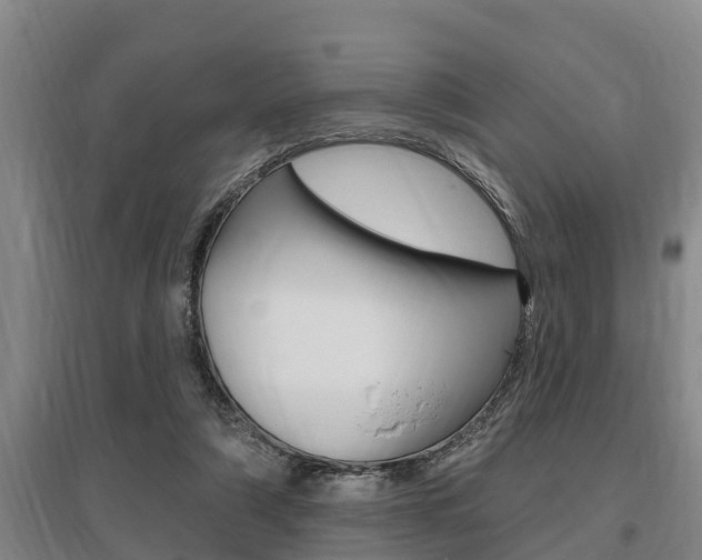 X0000095960306200801110952