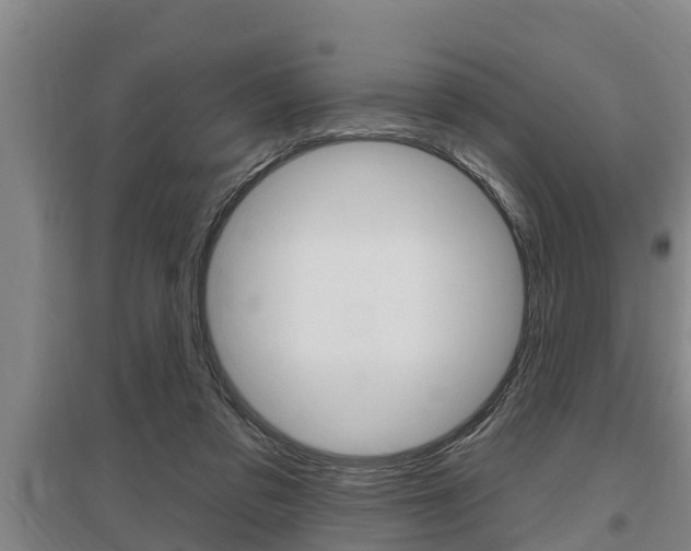 X0000095960309200801110952