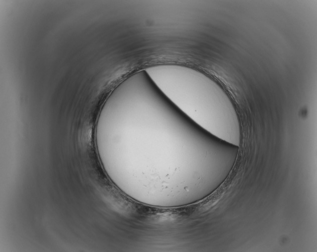 X0000095960310200801110952