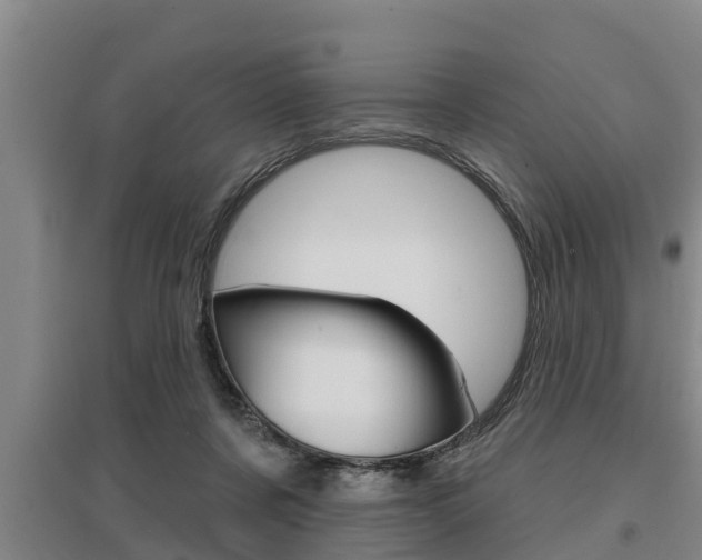 X0000095960311200801110952