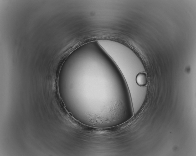 X0000095960313200801110952