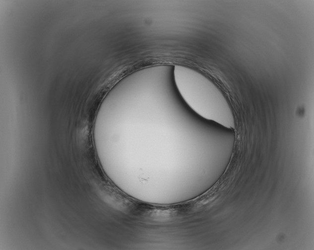 X0000095960314200801110952