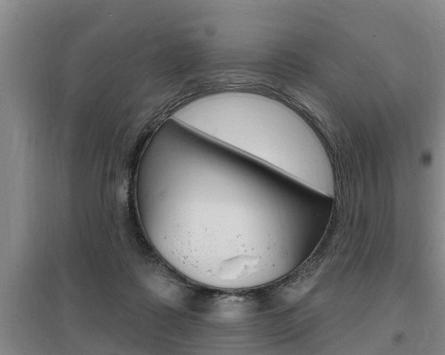 X0000095960315200801110952