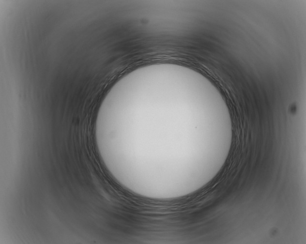 X0000095960316200801110952