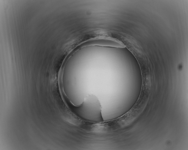 X0000095960320200801110952