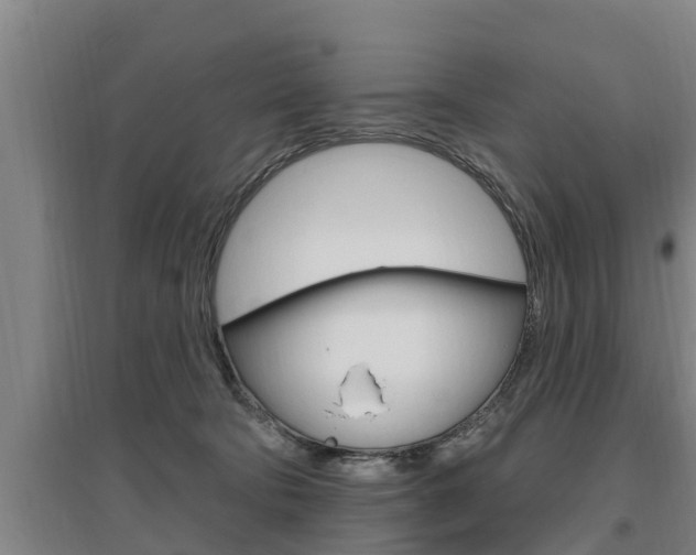 X0000095960322200801110952