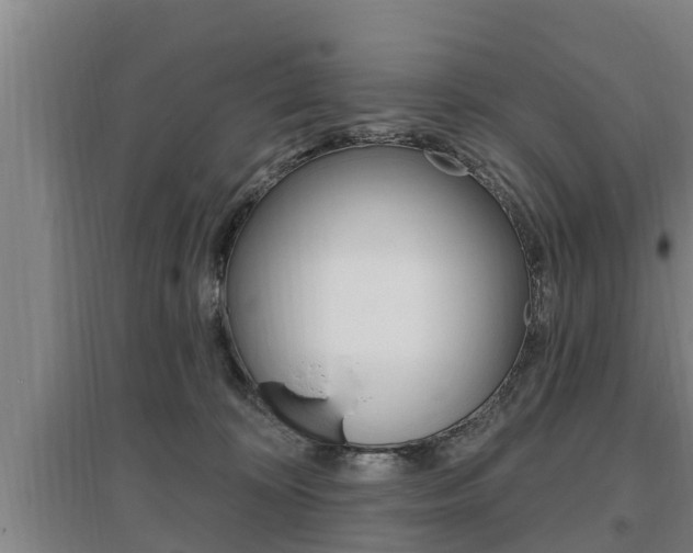 X0000095960324200801110952
