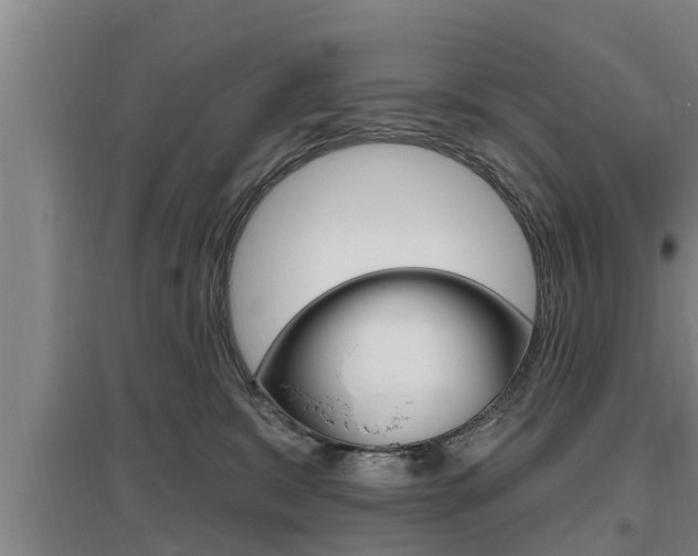 X0000095960327200801110952
