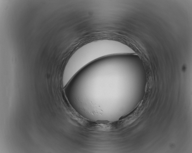 X0000095960328200801110952