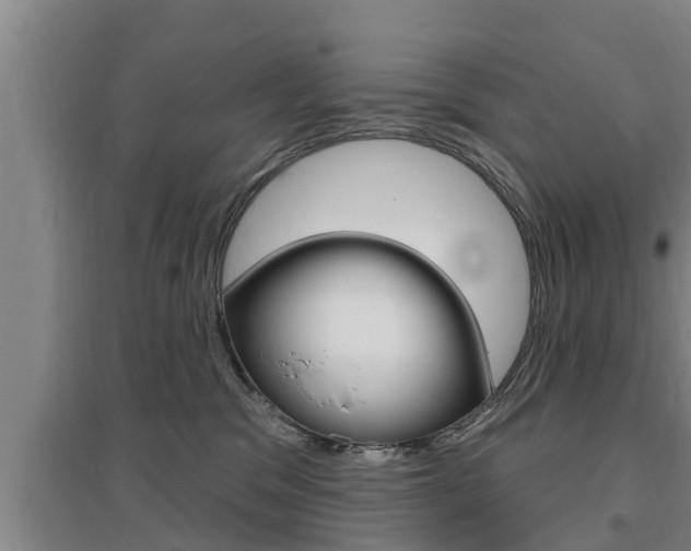 X0000095960329200801110952