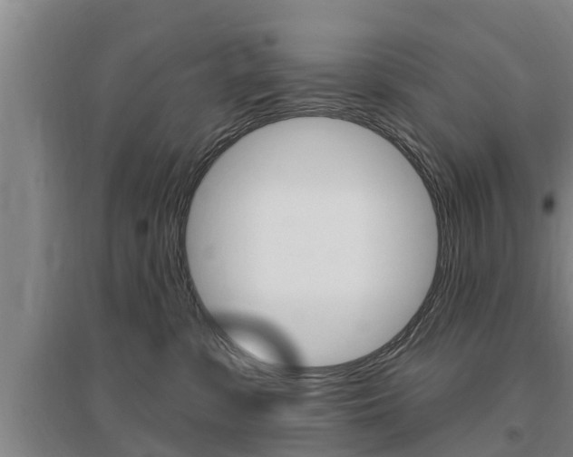 X0000095960331200801110952