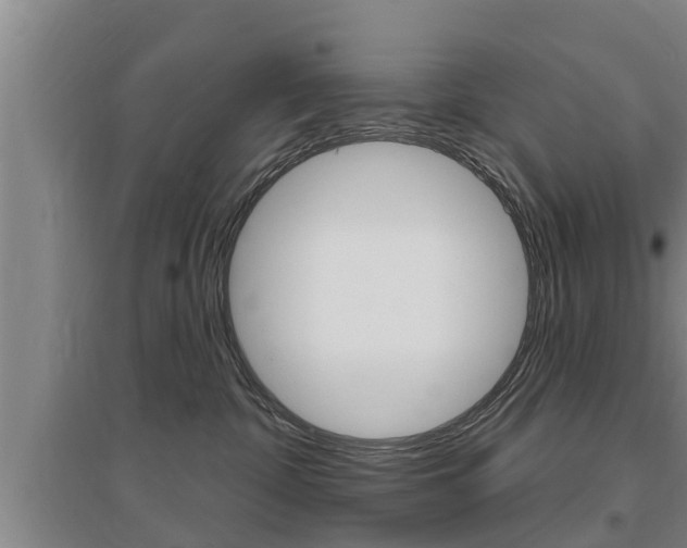 X0000095960332200801110952