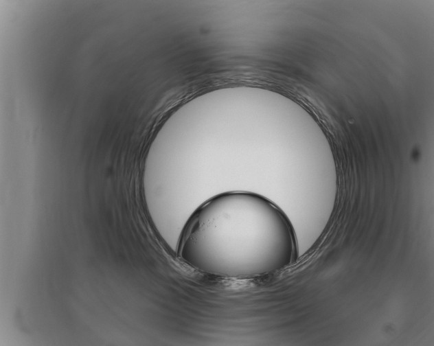 X0000095960333200801110952