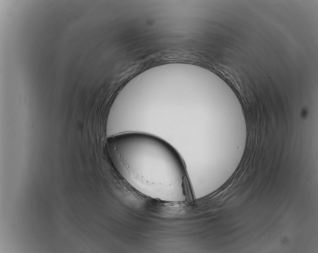X0000095960335200801110952