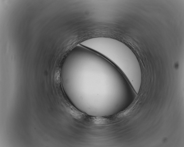 X0000095960336200801110952
