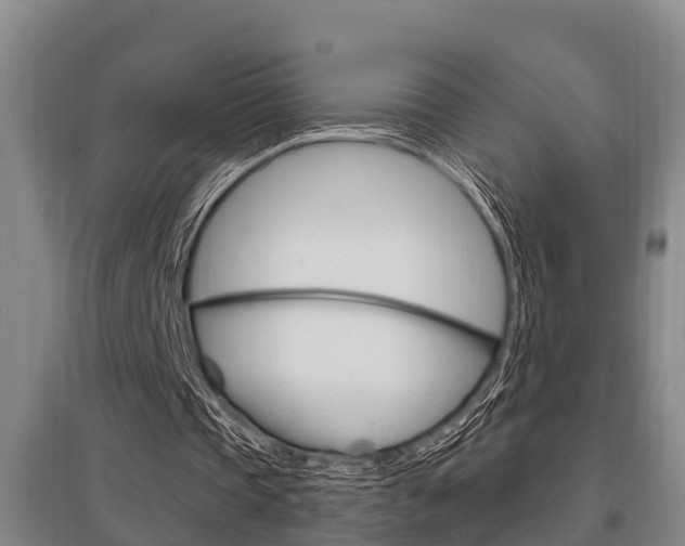 X0000095960337200801110951