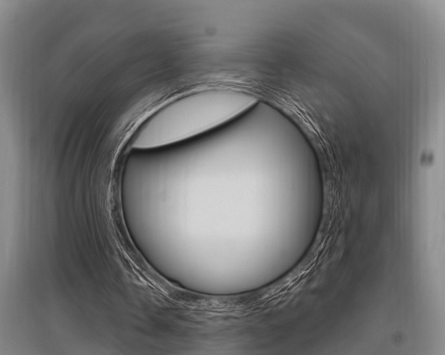 X0000095960338200801110951