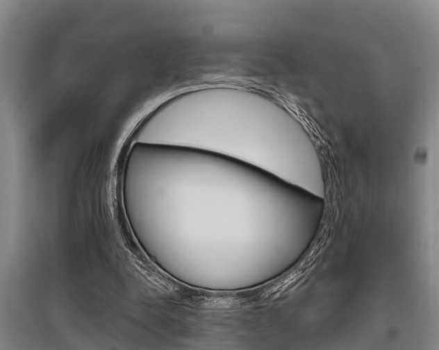 X0000095960342200801110951
