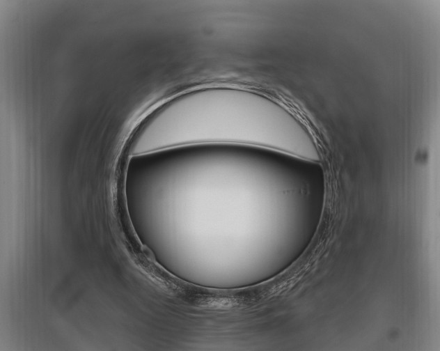 X0000095960344200801110951