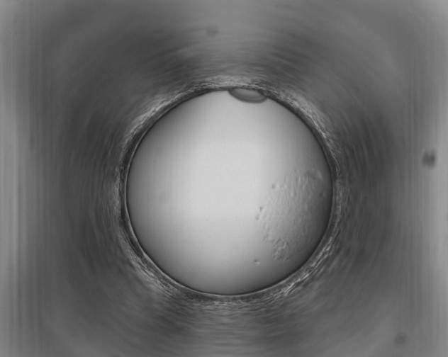 X0000095960345200801110951