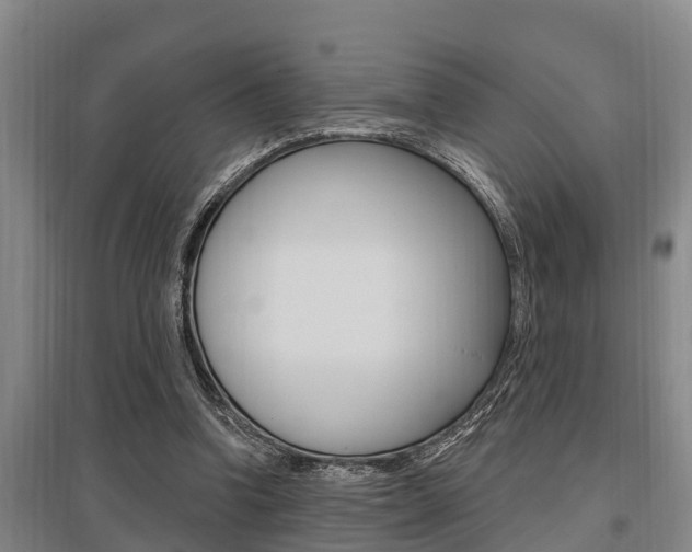 X0000095960346200801110951