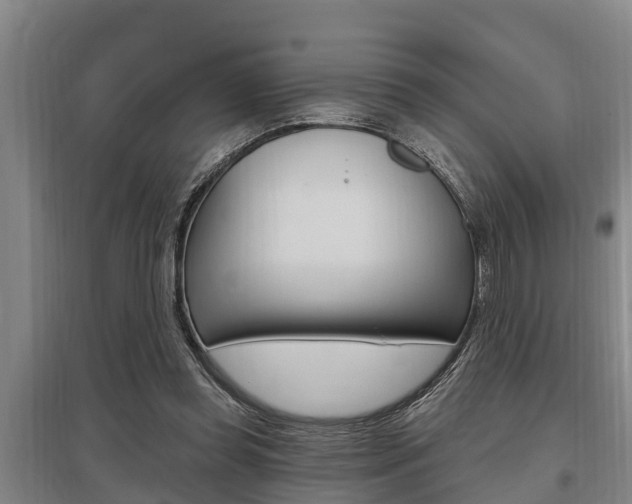X0000095960349200801110951