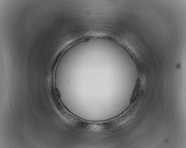 X0000095960352200801110951
