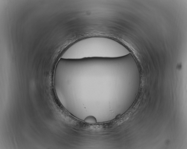 X0000095960353200801110951