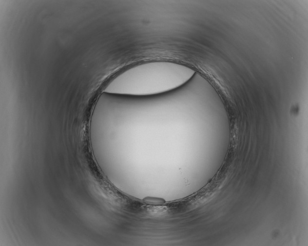 X0000095960355200801110951