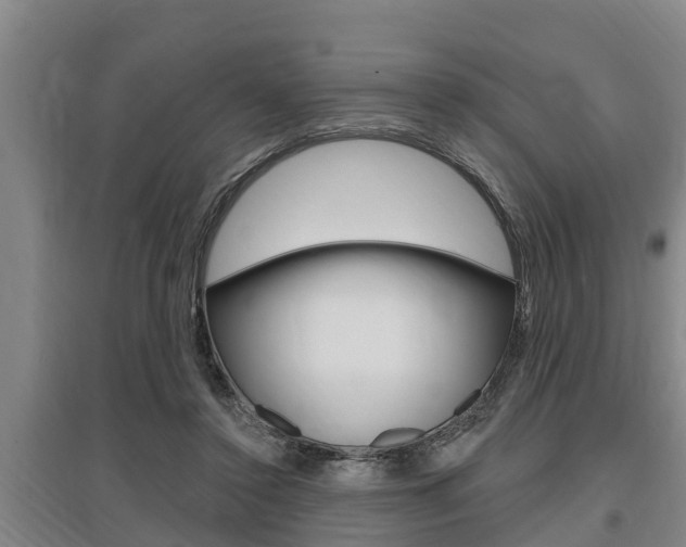 X0000095960356200801110951