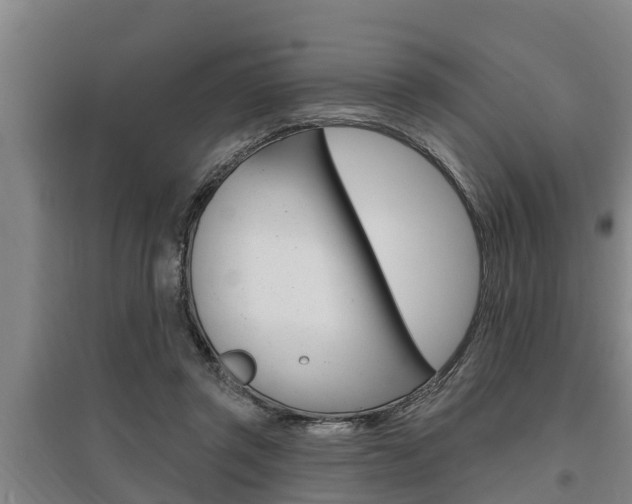 X0000095960357200801110951