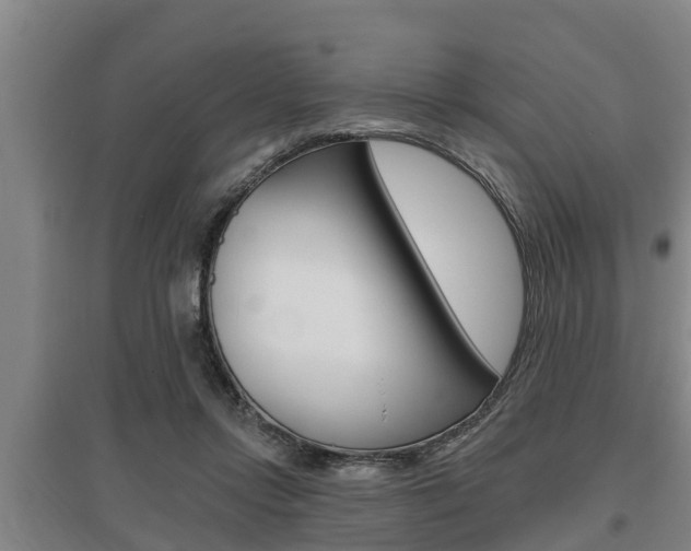 X0000095960358200801110951