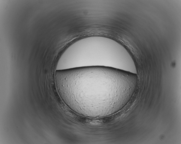 X0000095960359200801110951