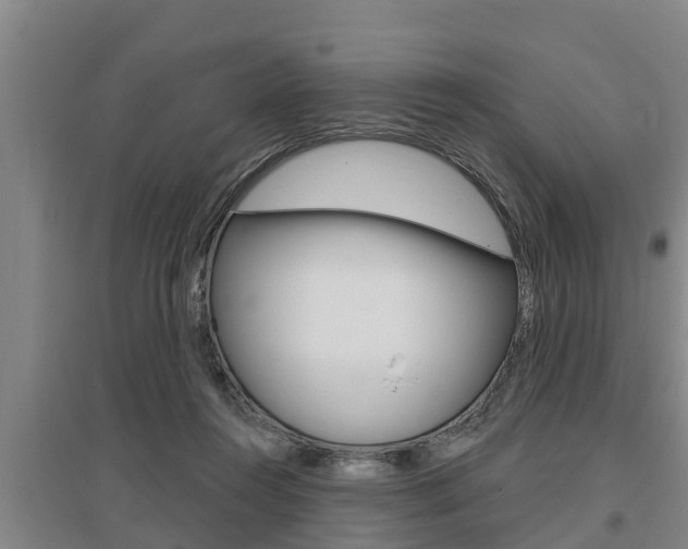 X0000095960360200801110951