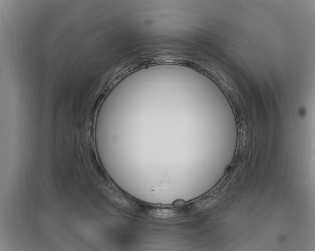 X0000095960361200801110951