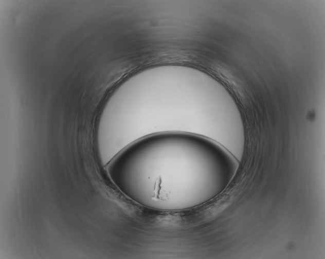 X0000095960362200801110951