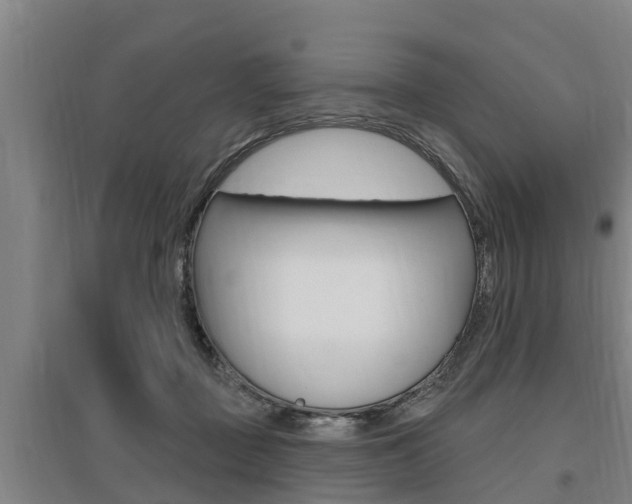 X0000095960363200801110951