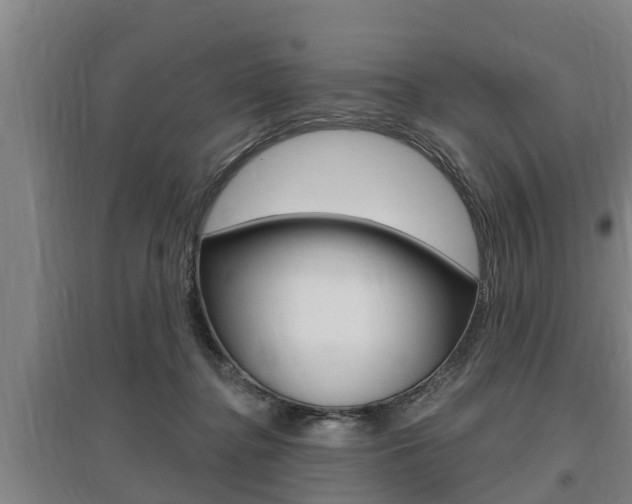 X0000095960364200801110951