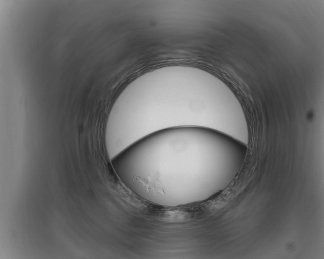 X0000095960376200801110951