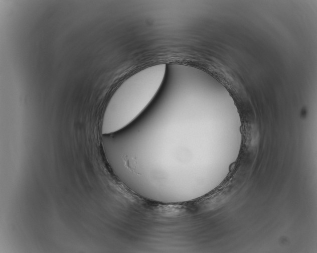 X0000095960378200801110951