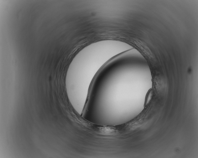 X0000095960380200801110951