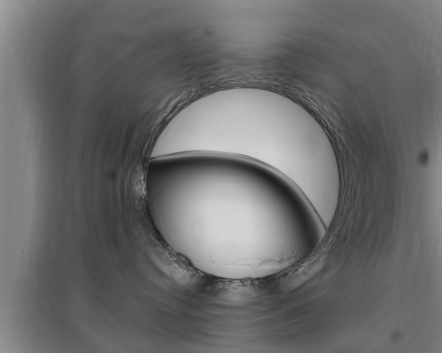 X0000095960384200801110952