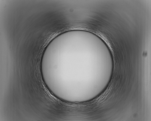 X0000095960385200801110951