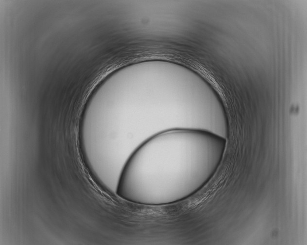 X0000095960386200801110951