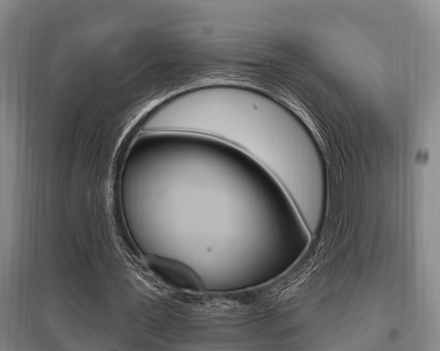 X0000095960387200801110951