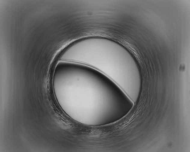 X0000095960388200801110951