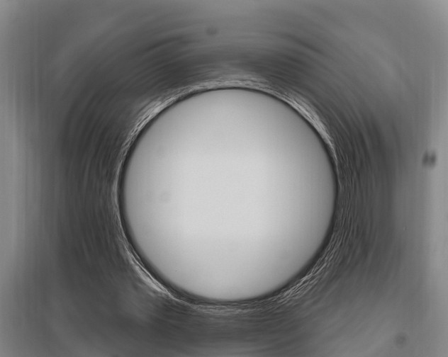 X0000095960389200801110951